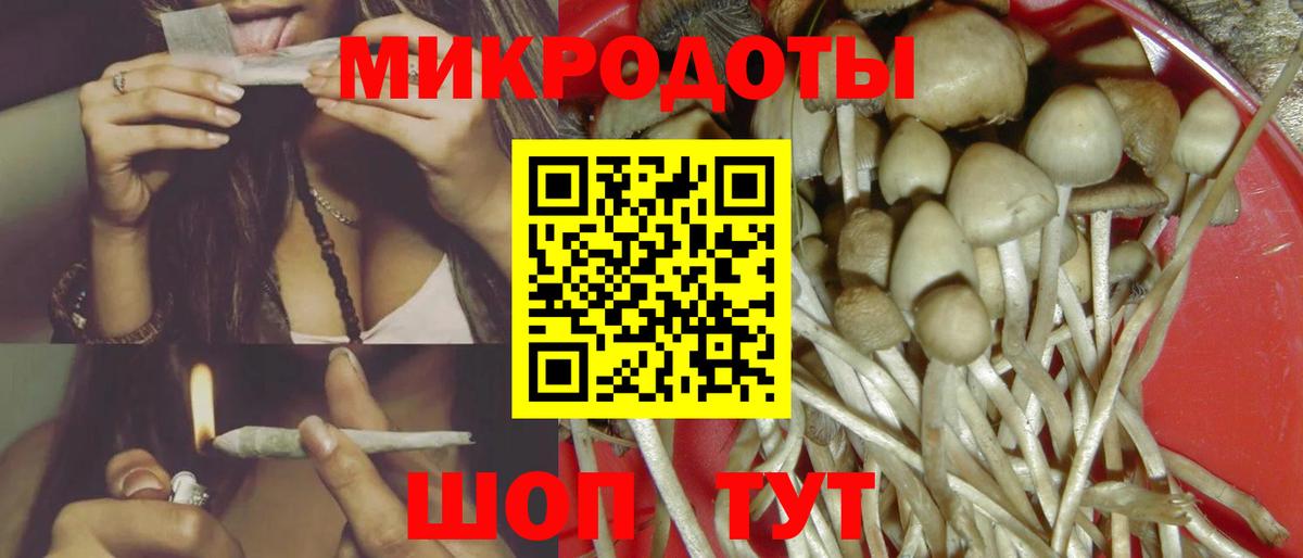 Псилоцибиновые грибы мицелий Сухой Лог